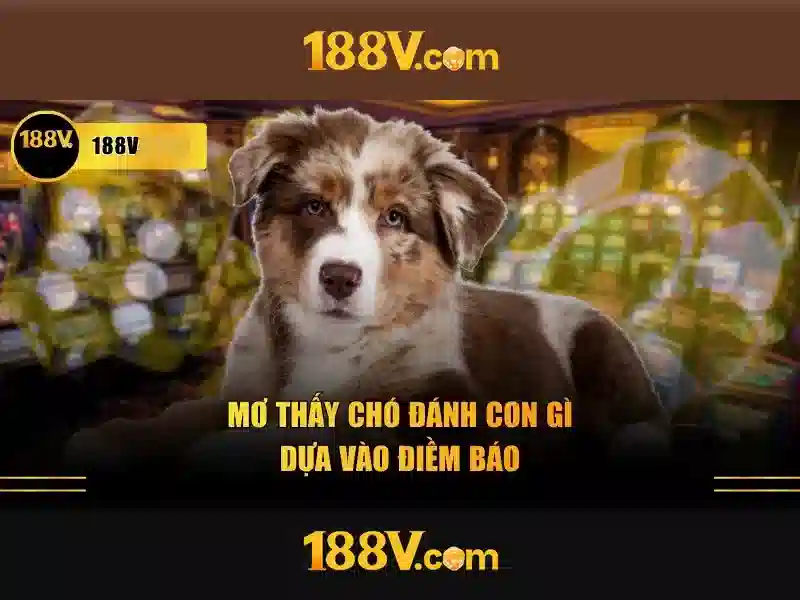 188v: Một khởi nguồn cho năng lượng số