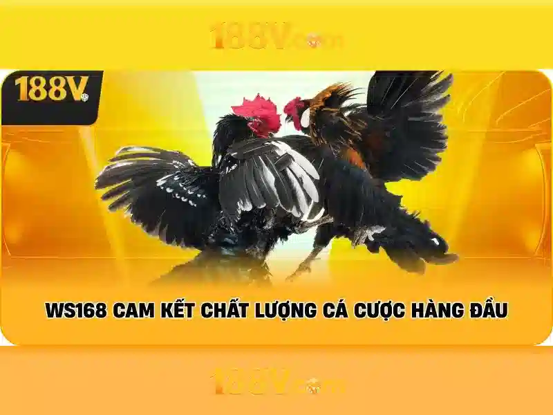 188v: hành trình của một con số và ý nghĩa của nó