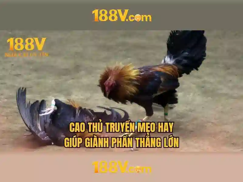 188V: Con đường của nguồn năng lượng tưởng tượng