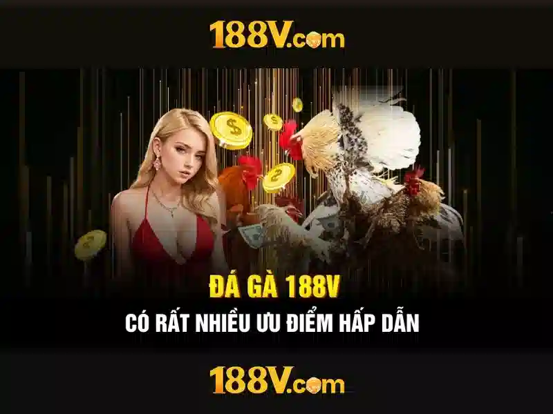 Hỗ trợ khách hàng 188v 