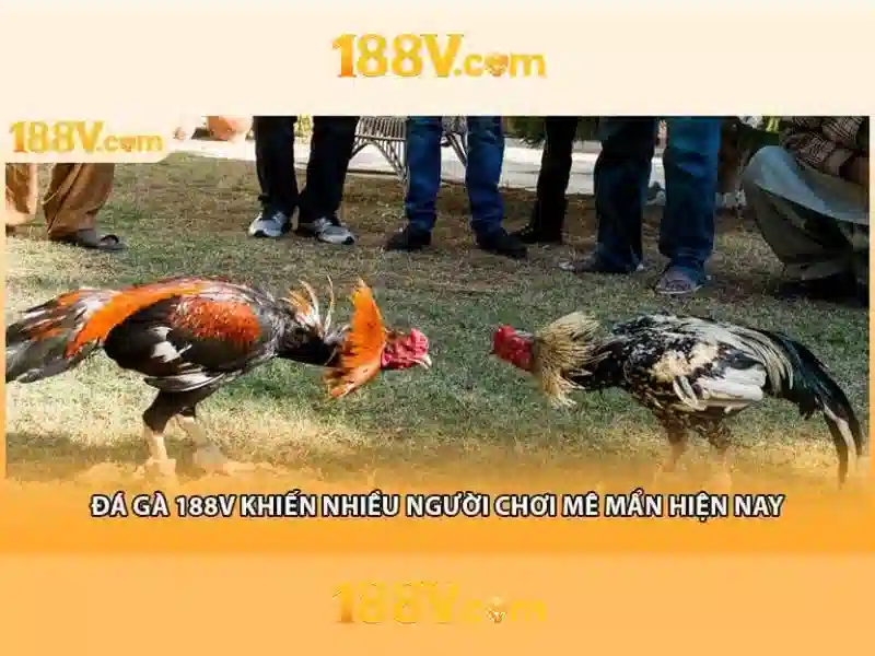 188v và hành trình của ý tưởng số
