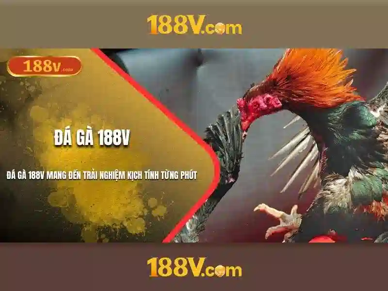 Kết luận về hành trình của 188v