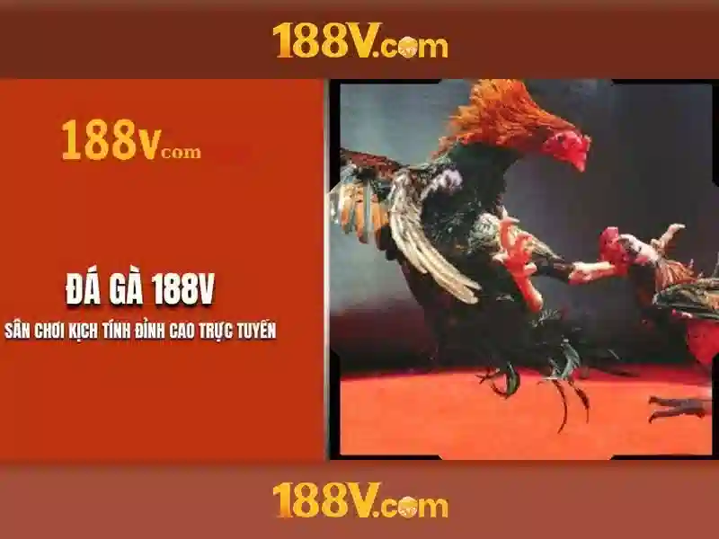 Tiêu chí hiệu suất và tối ưu