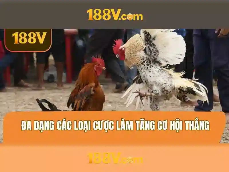 188v: nhận định về vận tốc và thời gian