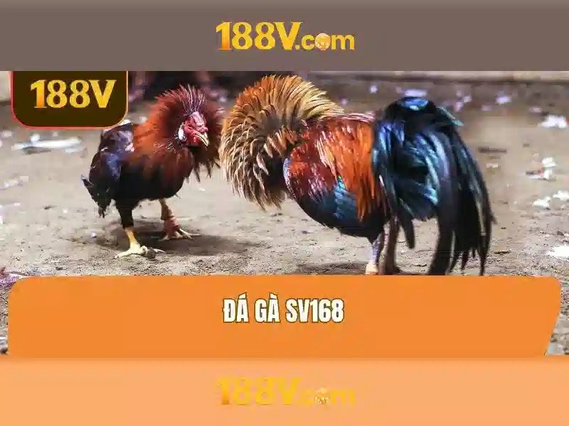 Tinycat99 Nha Cai Lo De Online | Lô Đề Online Choi Lo De Truc Tuyen ...