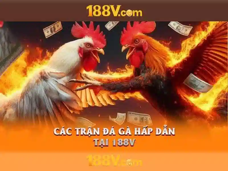 Kham pha 188v: mot khai niem trong cong nghe va van hoa so
