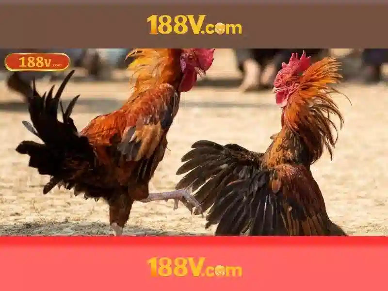 Tương lai của 188v