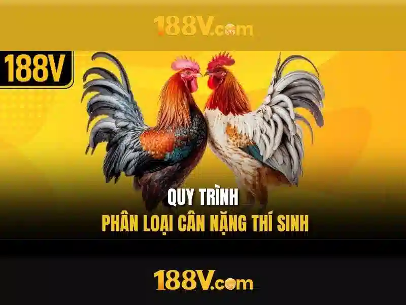Hiểu biết cơ bản về điện áp 188V