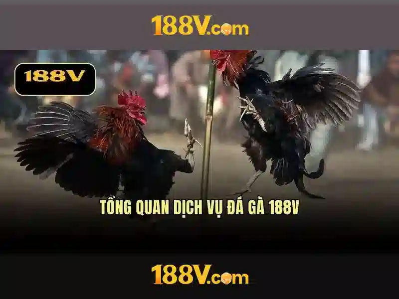 Khám phá 188v: một chuẩn điện áp đầy tiềm năng