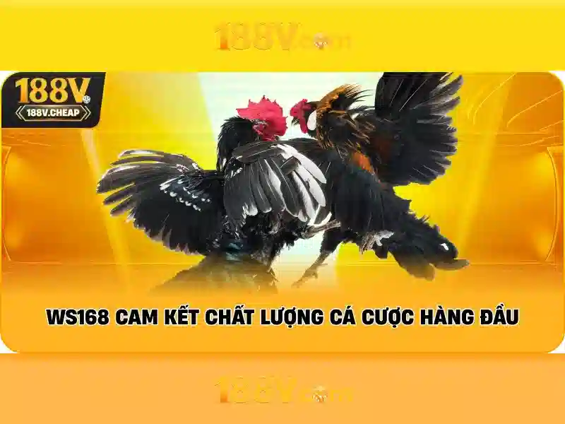 188v: Hành trình kết nối sáng tạo và công nghệ