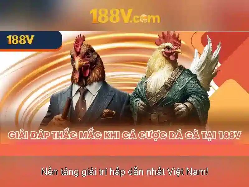 Kết luận và tương lai của 188v