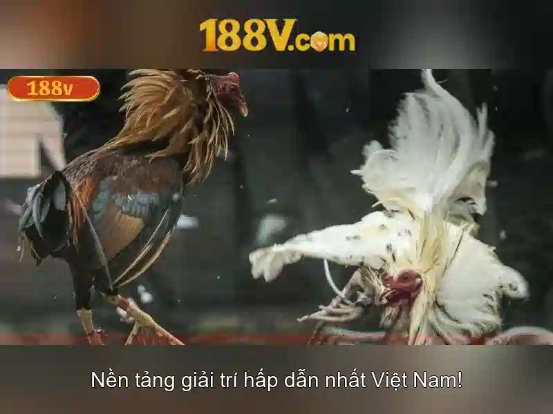 Ảnh hưởng xã hội của 188v