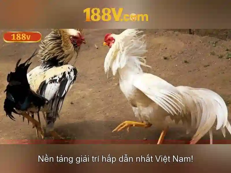 188V: một khái niệm công nghệ đầy hứa hẹn