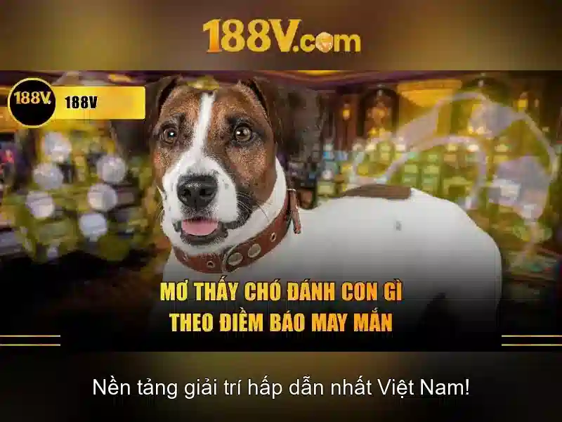 188v: Khái niệm và hành trình khám phá công nghệ số