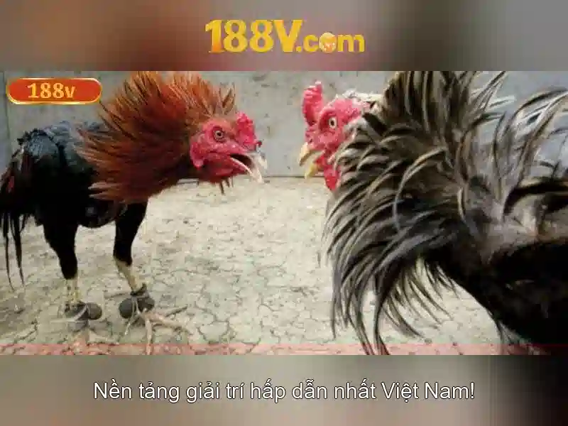 188v: khái niệm công nghệ và văn hóa số