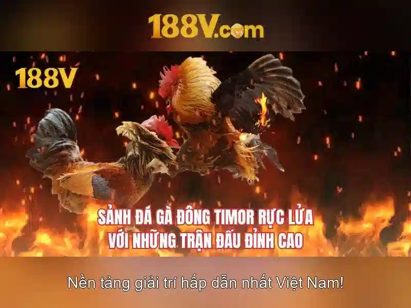 Ứng dụng tiềm năng