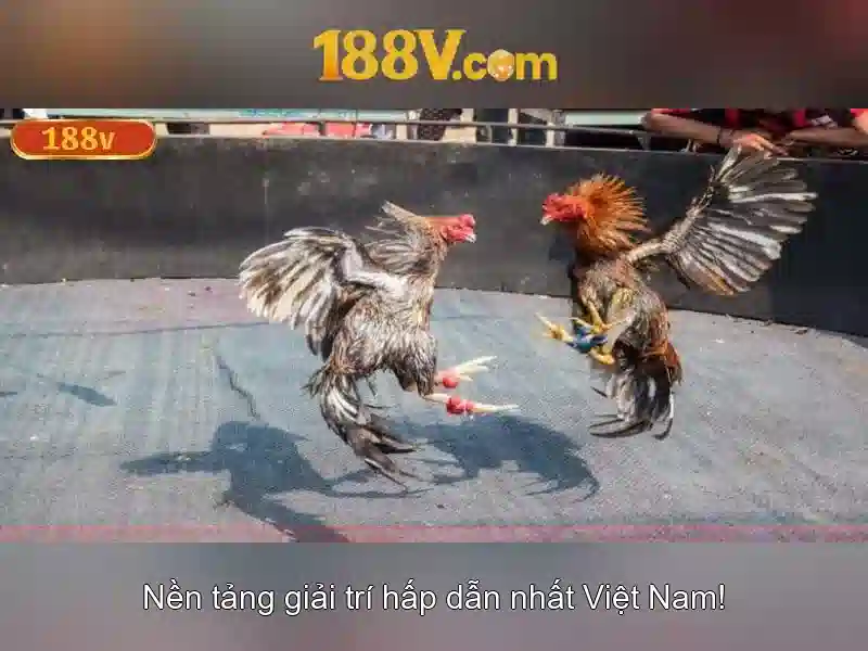 Các phần cược trực tiếp trên 188v