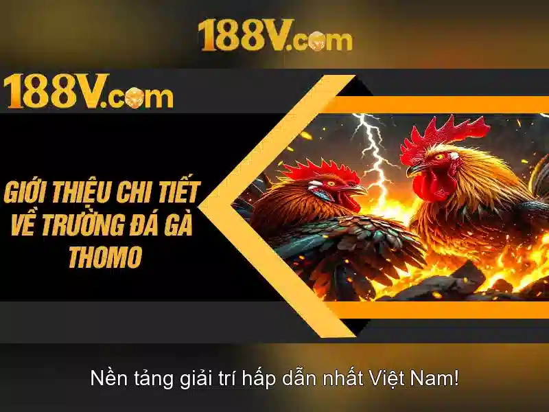 Khái-niệm-188v