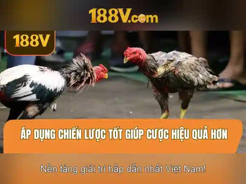 Vấn đề và tương lai của 188v