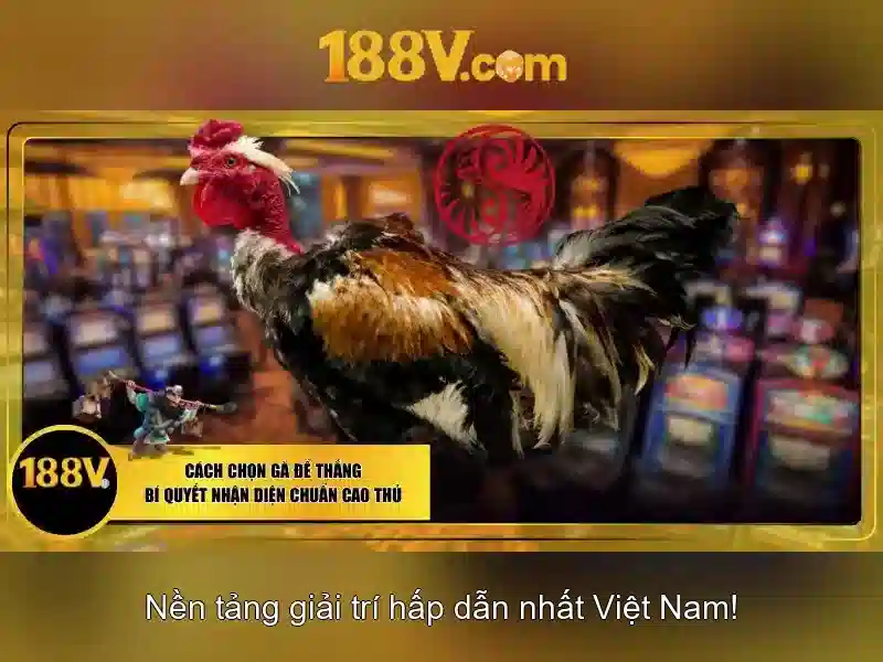Những ứng dụng của 188v