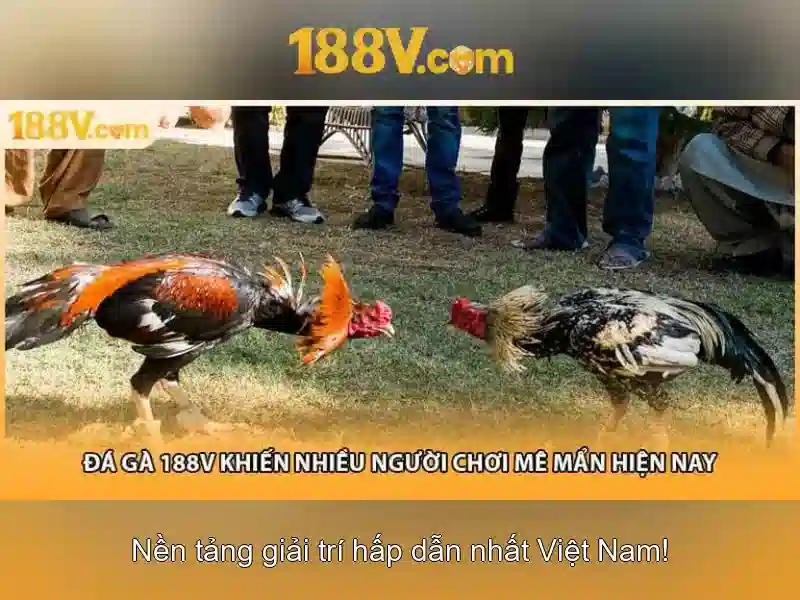 Khái niệm 188v