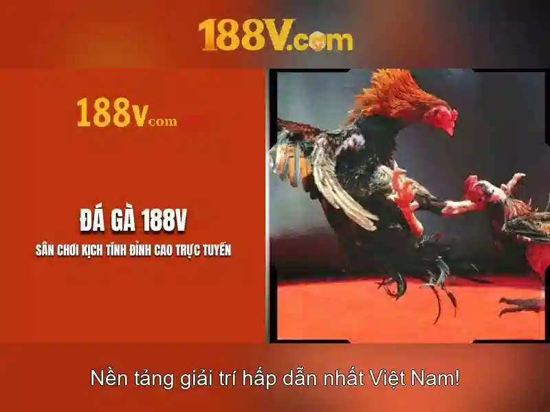 188v: khái niệm công nghệ và văn hóa số