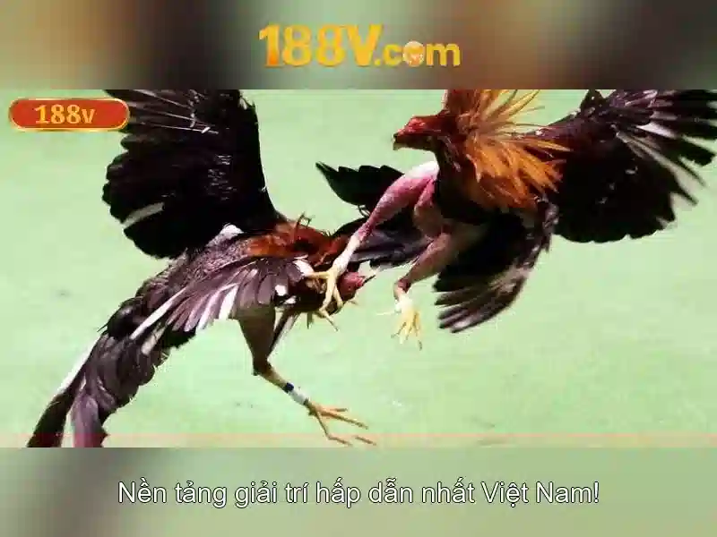 188v và hành trình khám phá