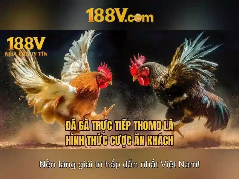 Thiết kế nguồn cung cấp và điều khiển