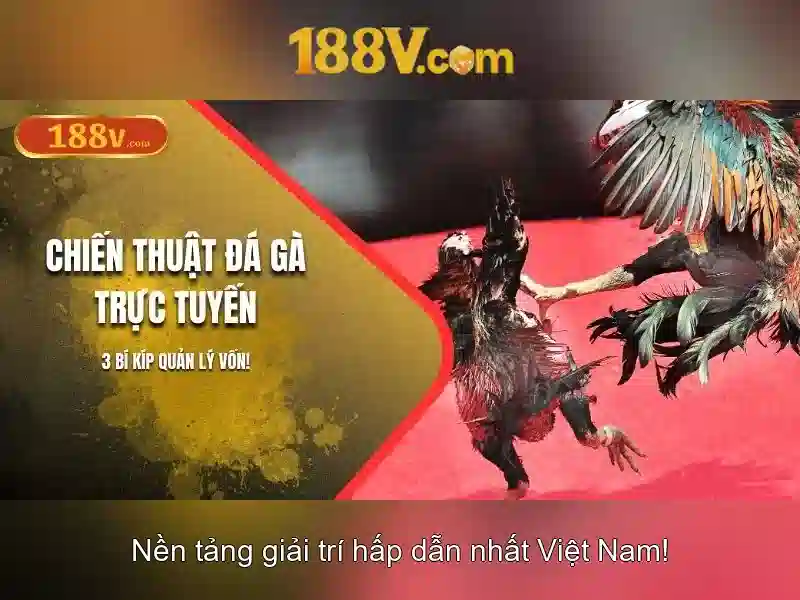 'Cách tiếp cận và ứng dụng ban đầu'