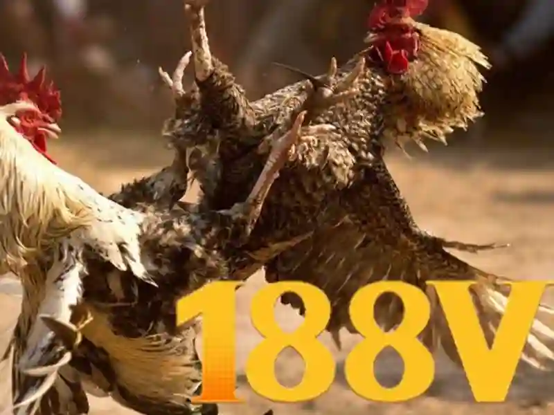Ý nghĩa của 188v